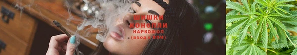 трава Кукмор
