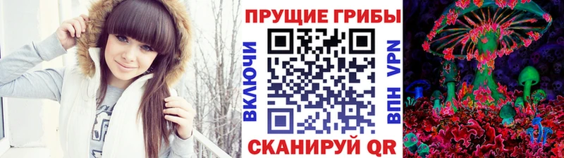 Галлюциногенные грибы GOLDEN TEACHER  Купить закладки  Рыбное 